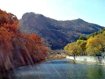 管家婆黑白马报图库，tiger stone